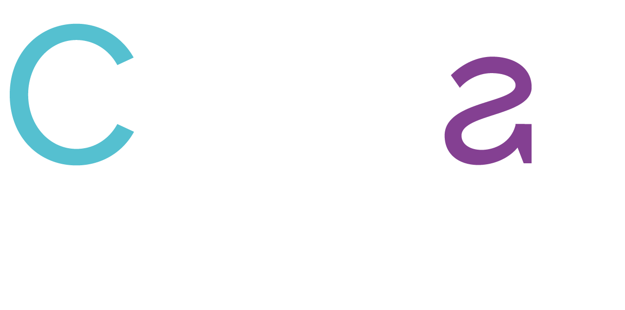Consali Group