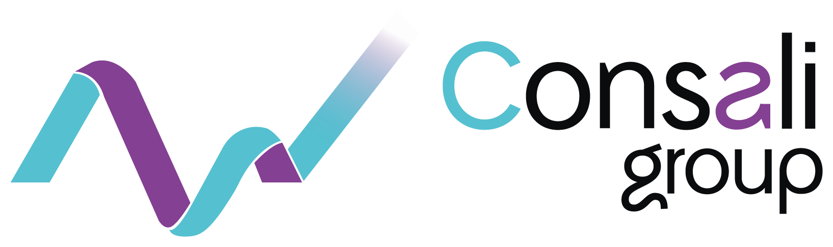 Consali Group